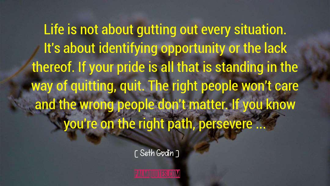 Hide Your Pain quotes by Seth Godin