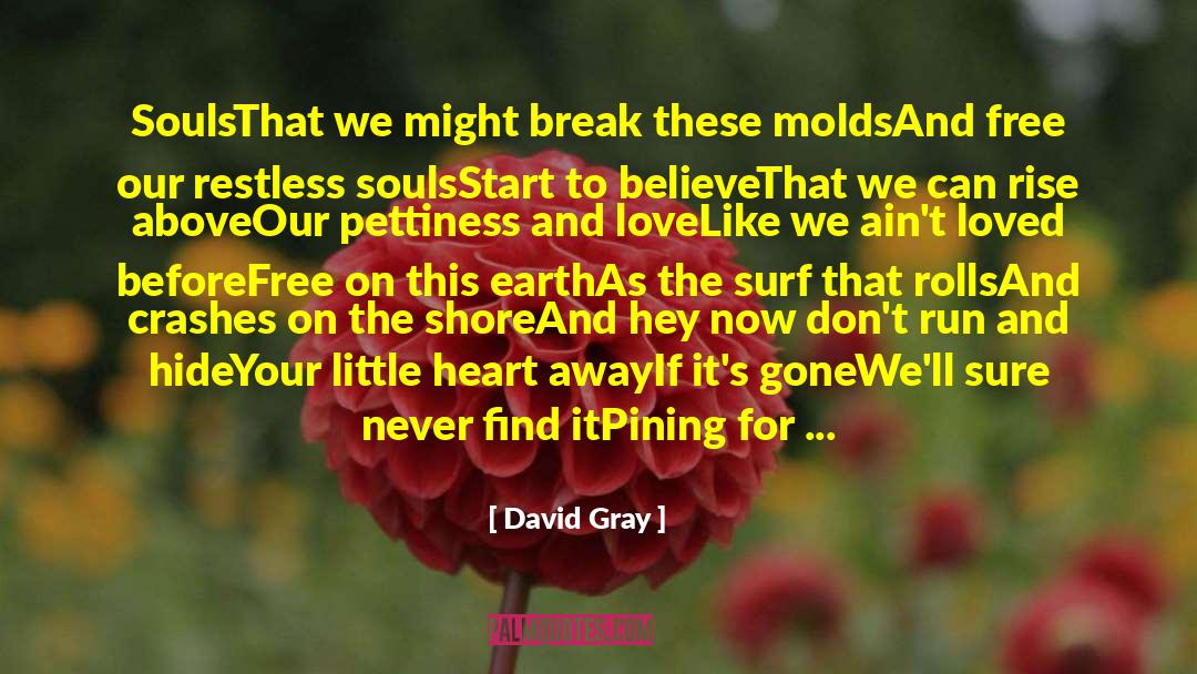 Hide Your Pain quotes by David Gray