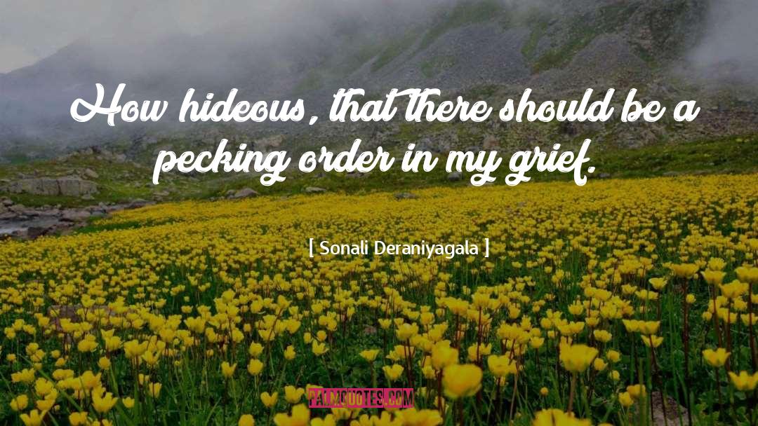 Hideous quotes by Sonali Deraniyagala