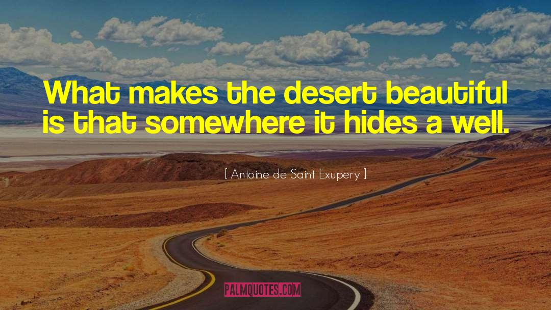 Hides quotes by Antoine De Saint Exupery