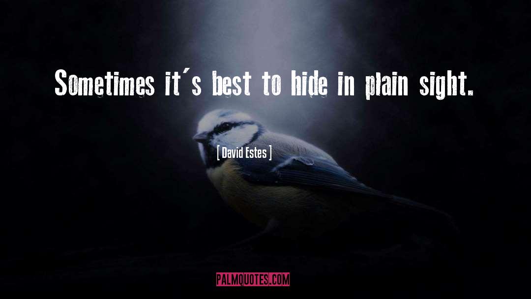 Hiding In Plain Sight quotes by David Estes