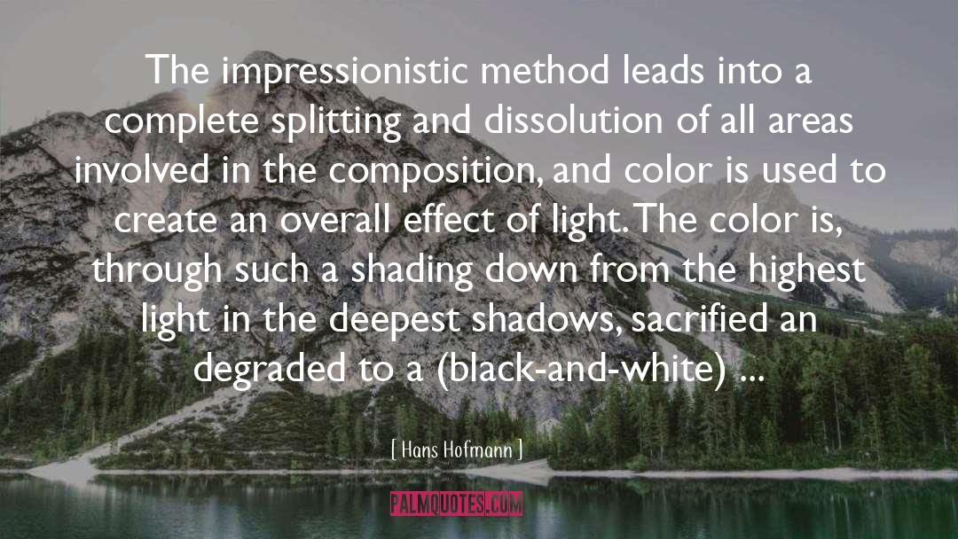 Hiding In The Shadows quotes by Hans Hofmann