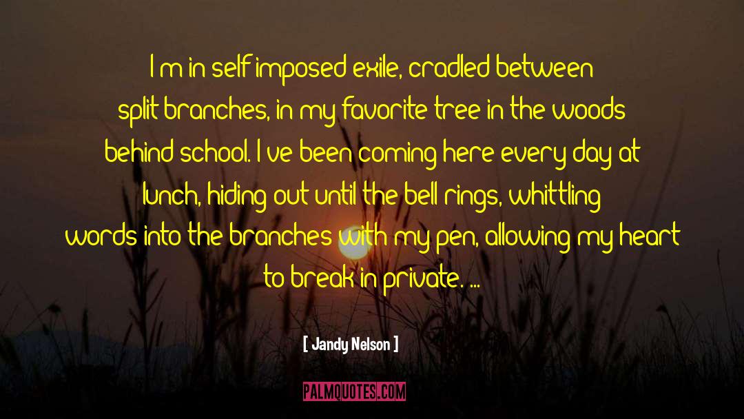 Hiding Out quotes by Jandy Nelson