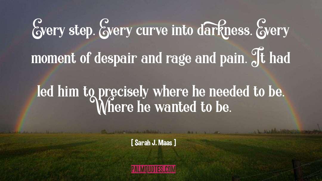 Hiding Pain quotes by Sarah J. Maas