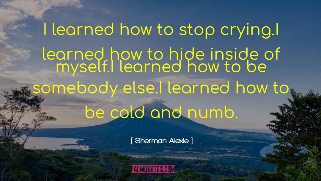 Hiding Pain quotes by Sherman Alexie