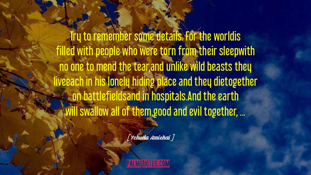 Hiding Place quotes by Yehuda Amichai