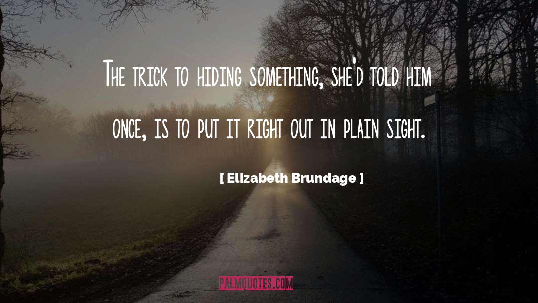 Hiding Something quotes by Elizabeth Brundage