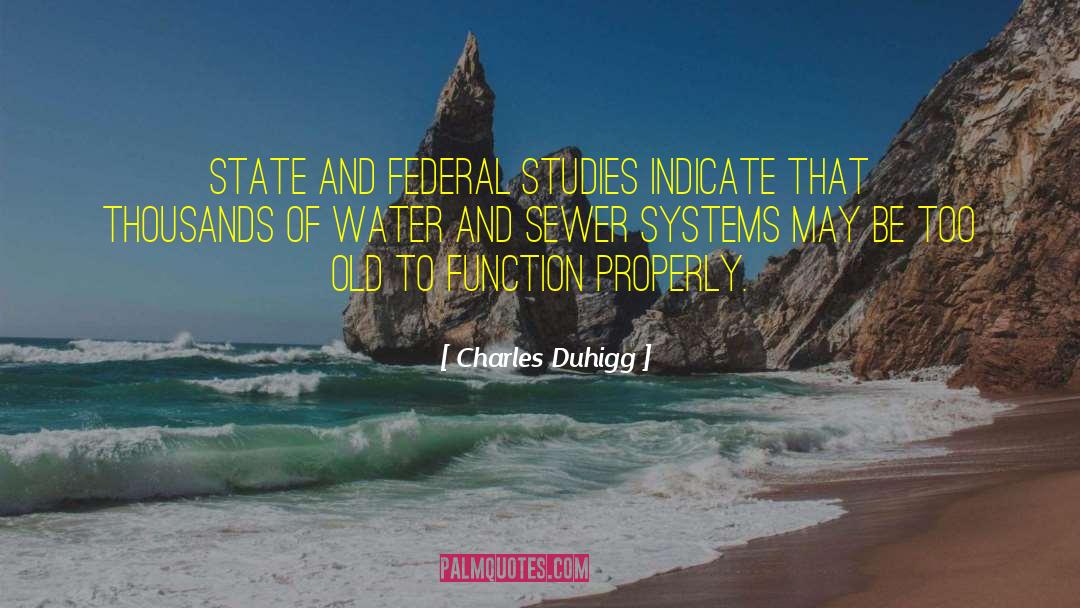 Hierarchical Systems quotes by Charles Duhigg