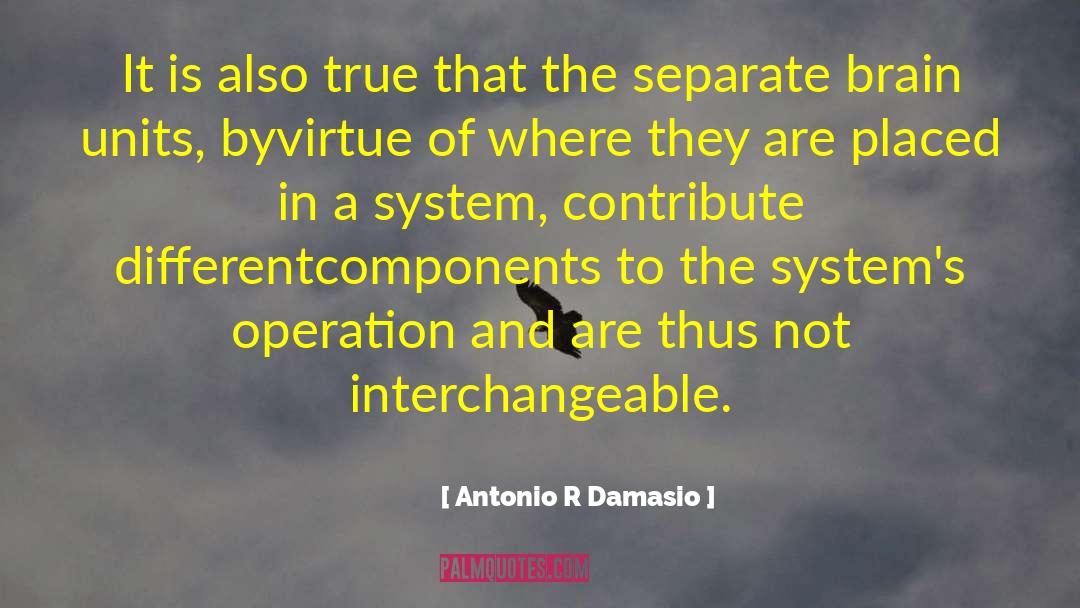 Hierarchical Systems quotes by Antonio R Damasio