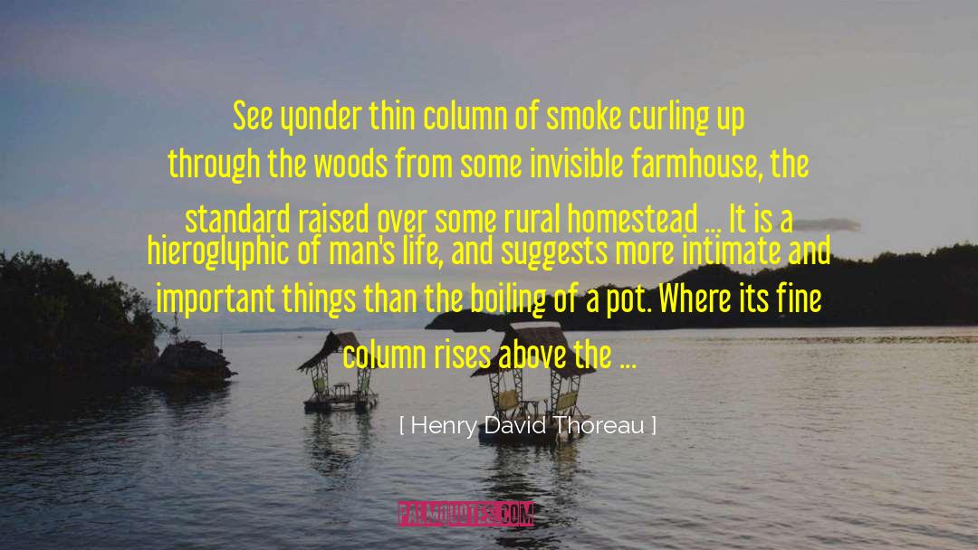 Hieroglyphic quotes by Henry David Thoreau