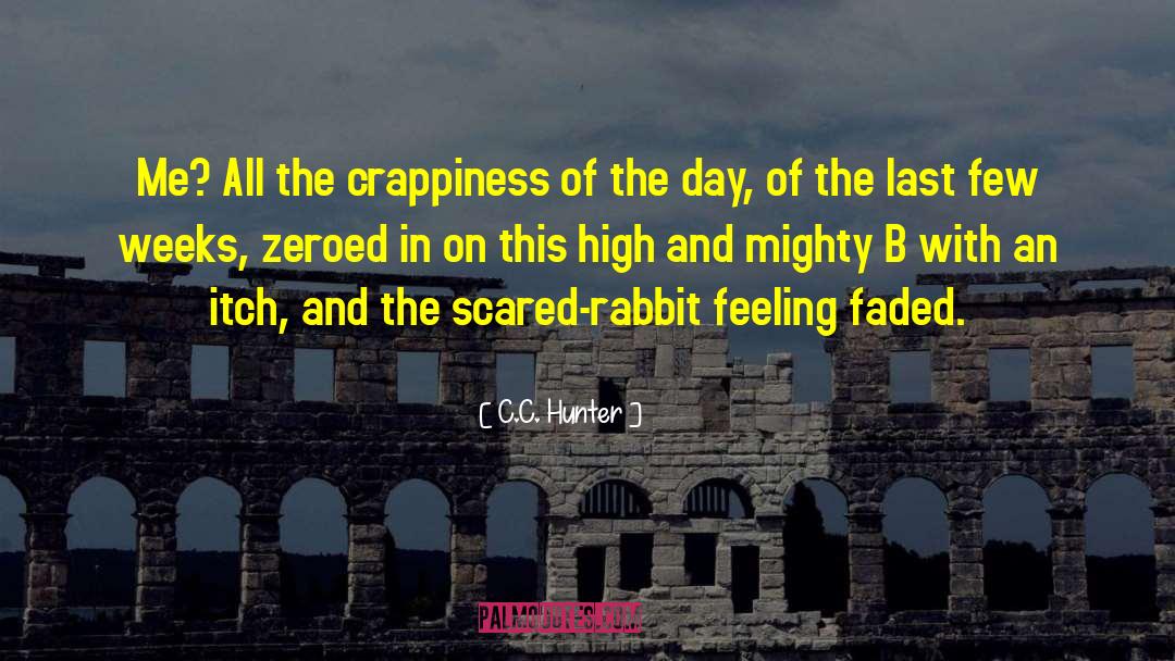 High And Mighty quotes by C.C. Hunter