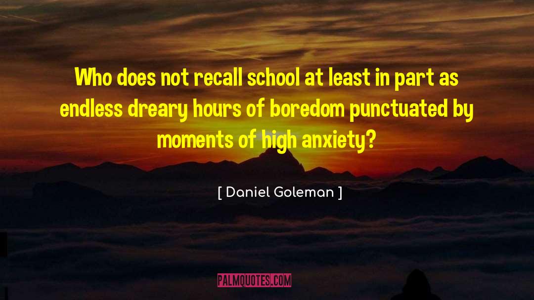 High Anxiety quotes by Daniel Goleman