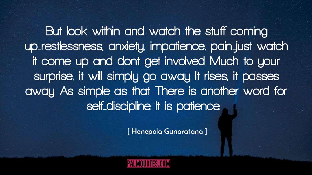 High Anxiety quotes by Henepola Gunaratana