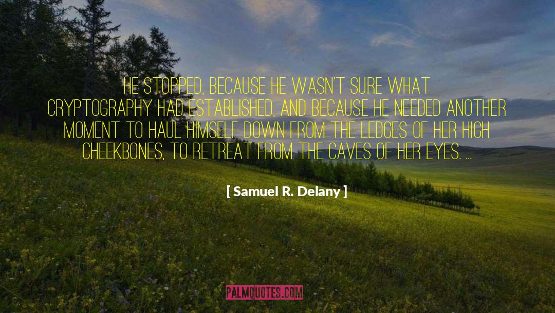 High Cheekbones quotes by Samuel R. Delany