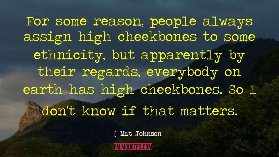 High Cheekbones quotes by Mat Johnson