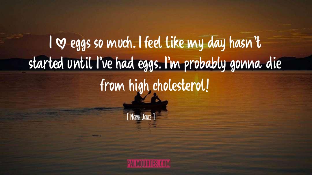 High Cholesterol quotes by Norah Jones