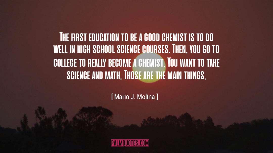 High Class quotes by Mario J. Molina