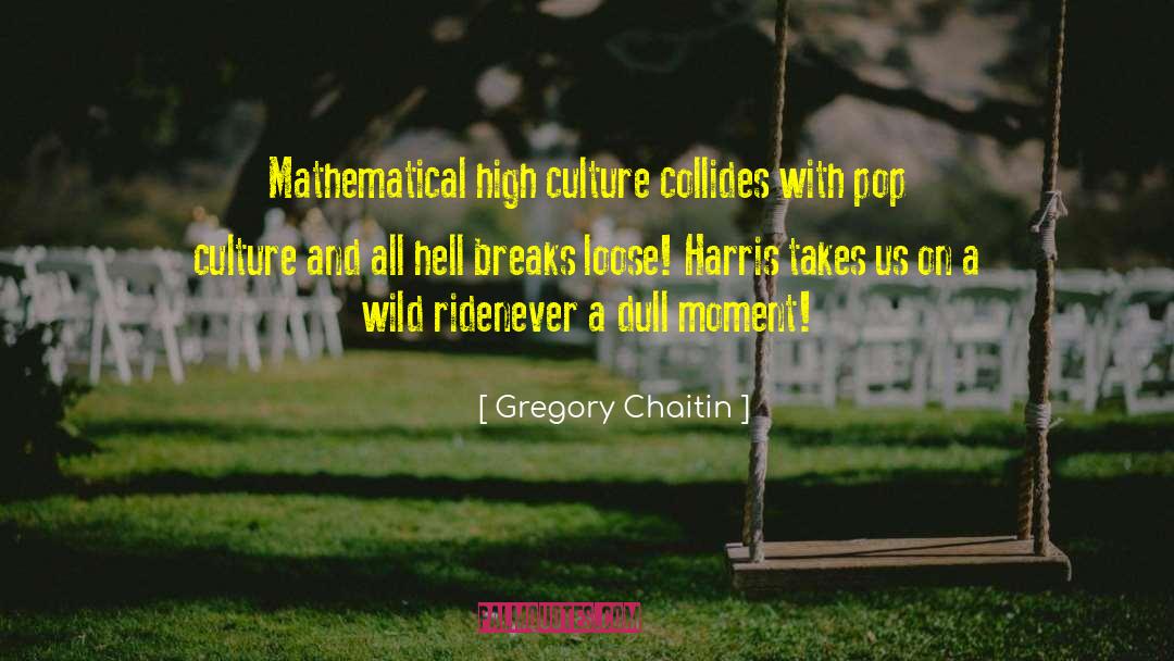 High Culture quotes by Gregory Chaitin