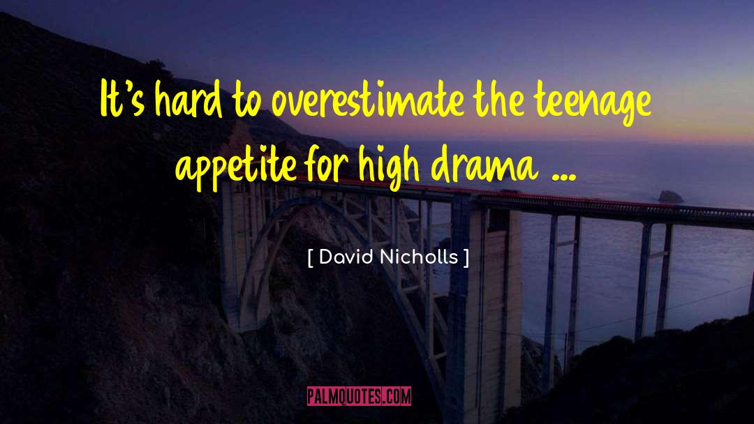 High Drama quotes by David Nicholls