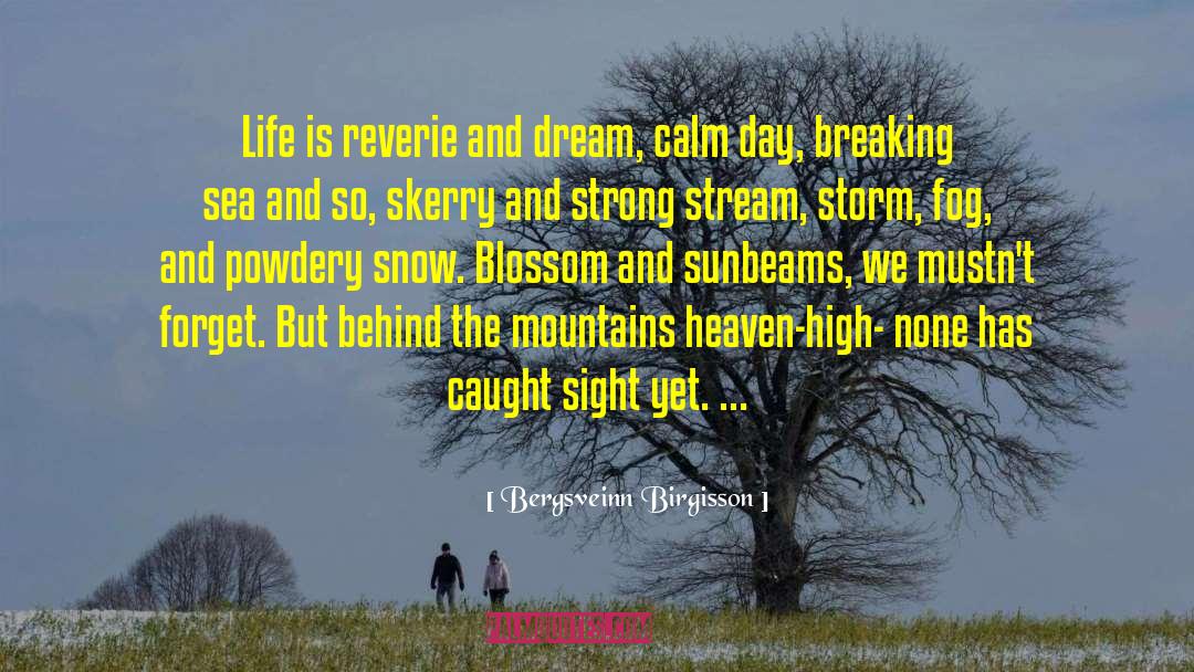 High Drama quotes by Bergsveinn Birgisson