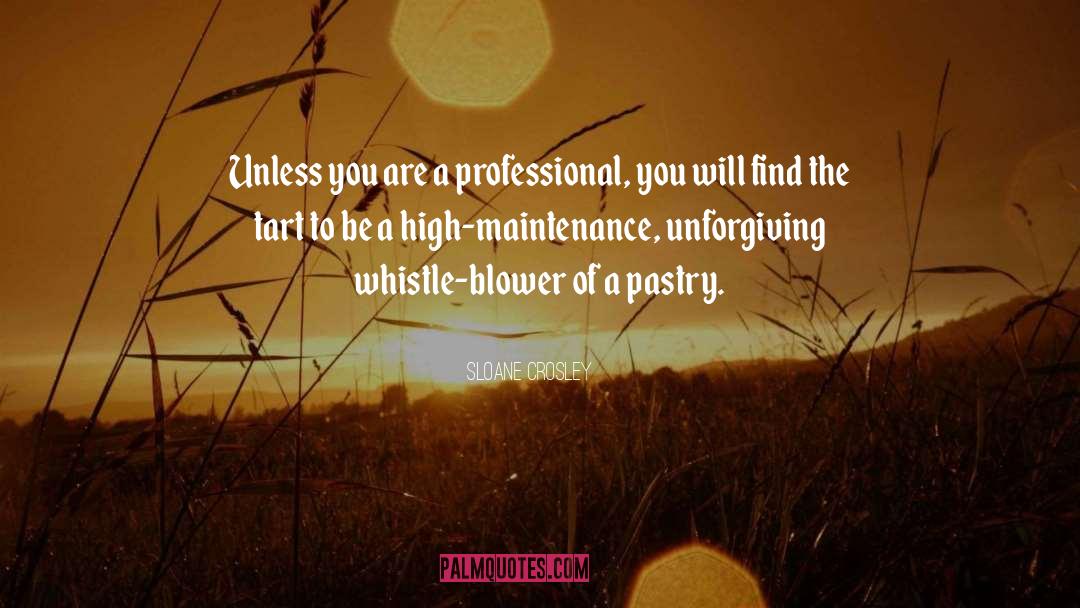 High Maintenance quotes by Sloane Crosley