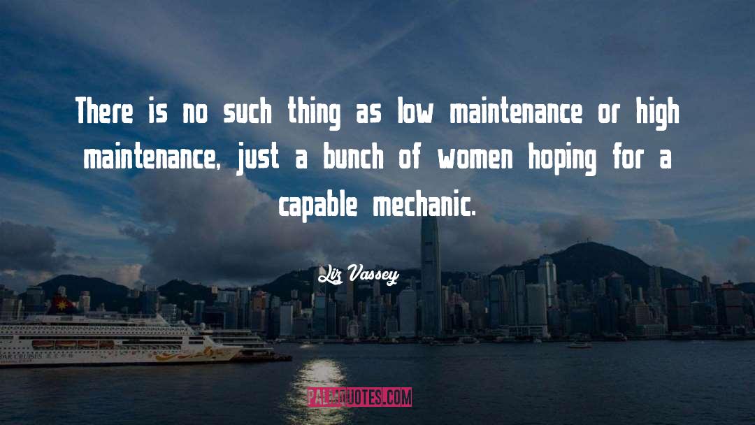 High Maintenance quotes by Liz Vassey