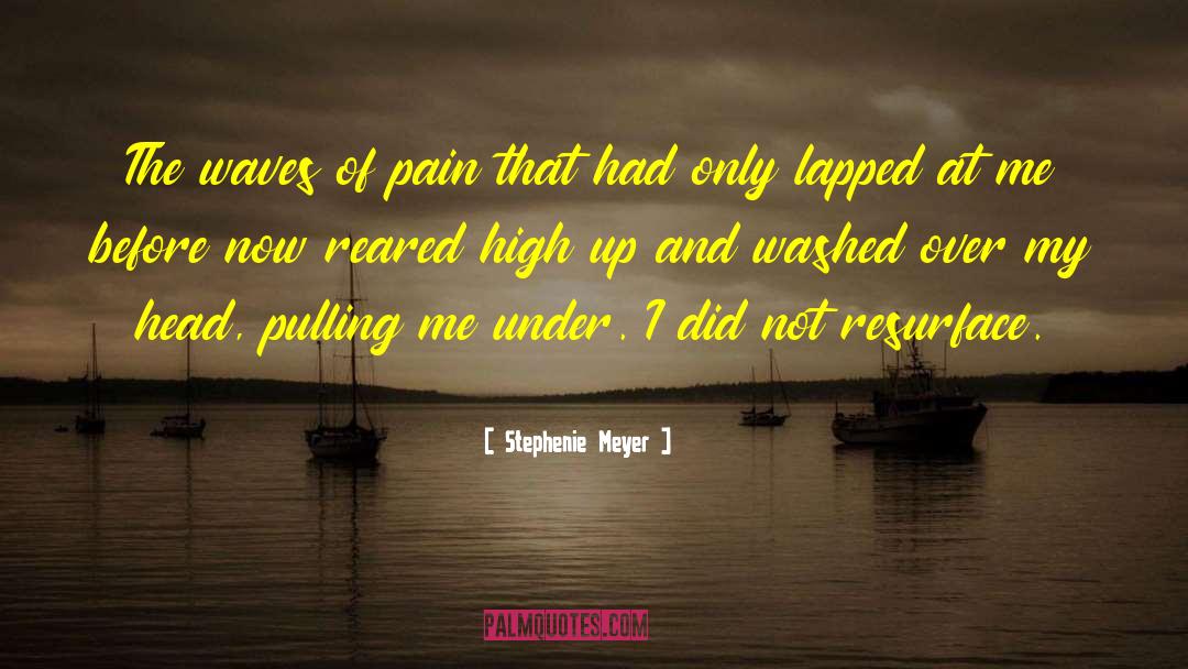 High Pain Threshold quotes by Stephenie Meyer