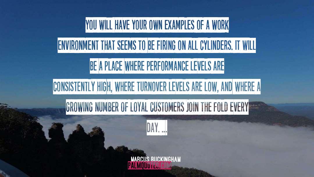 High Performance Organisations quotes by Marcus Buckingham