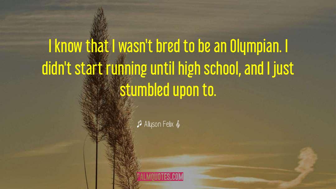High School Friends quotes by Allyson Felix