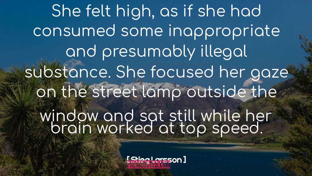 High Speed Rail quotes by Stieg Larsson