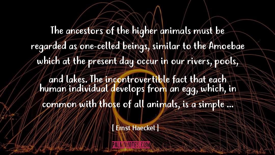 Higher Animals quotes by Ernst Haeckel