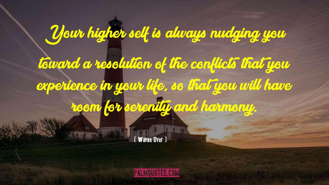 Higher Conciousness quotes by Wayne Dyer