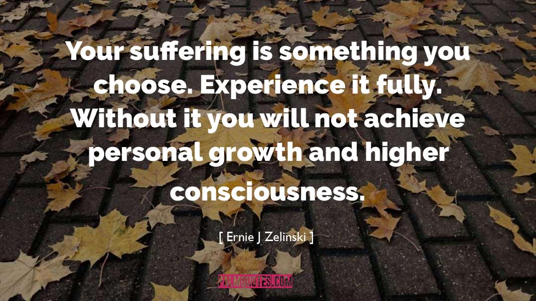 Higher Consciousness quotes by Ernie J Zelinski