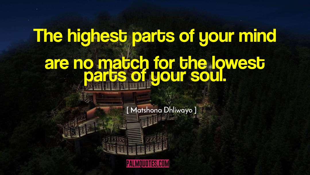 Higher Consciousness quotes by Matshona Dhliwayo