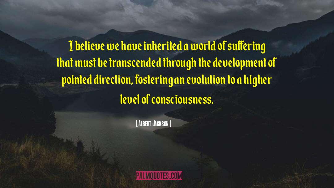 Higher Level Of Consciousness quotes by Albert Jackson