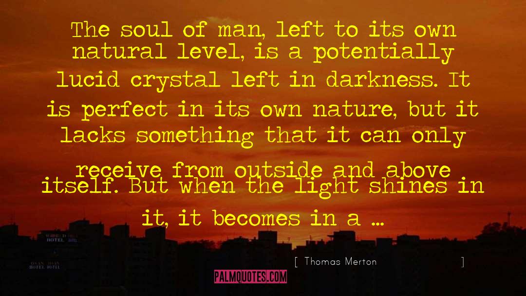 Higher Level Of Consciousness quotes by Thomas Merton