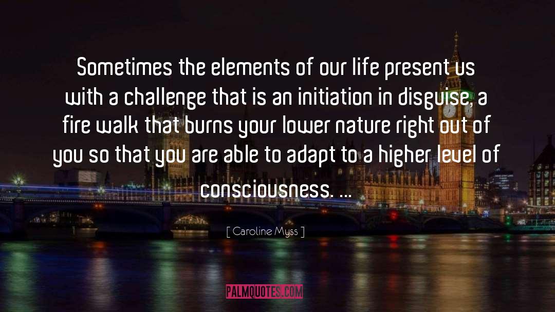 Higher Level Of Consciousness quotes by Caroline Myss