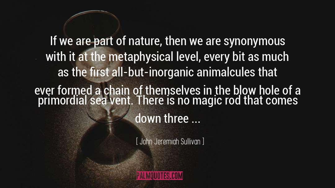 Higher Level Of Consciousness quotes by John Jeremiah Sullivan