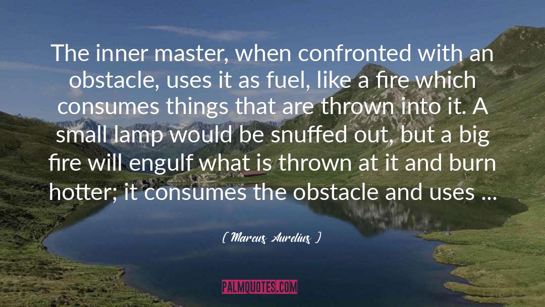 Higher Level quotes by Marcus Aurelius