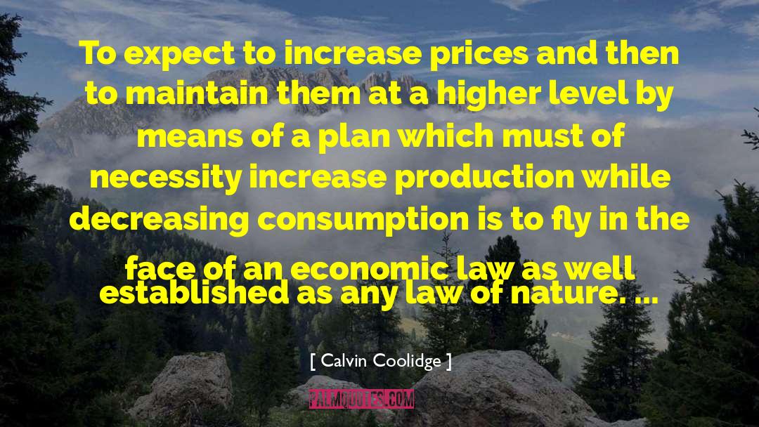 Higher Level quotes by Calvin Coolidge