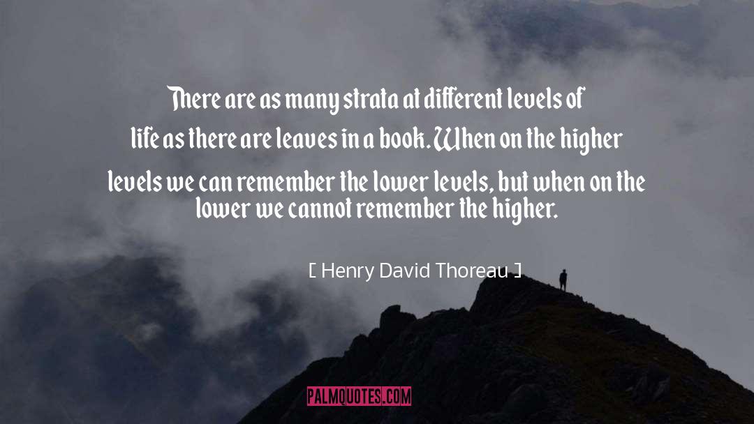 Higher Level quotes by Henry David Thoreau