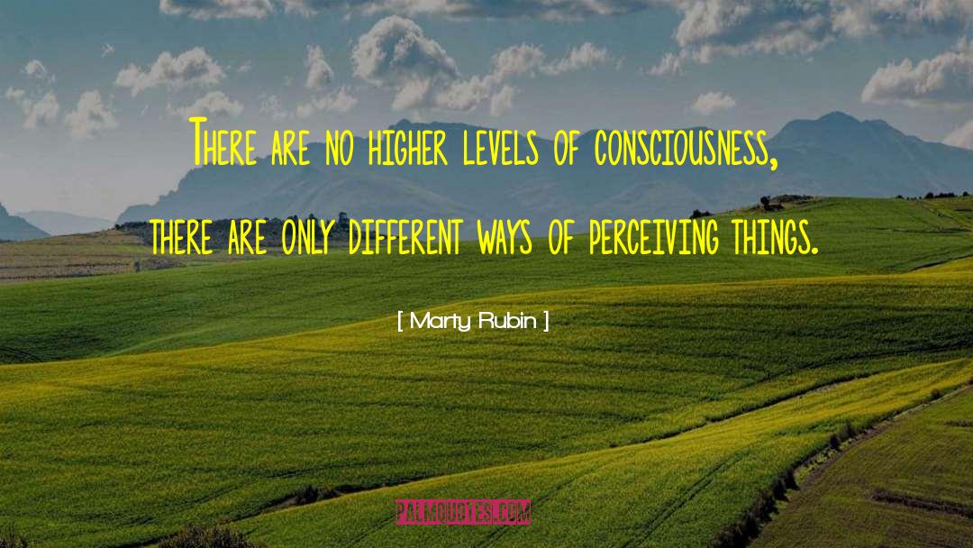 Higher Levels quotes by Marty Rubin