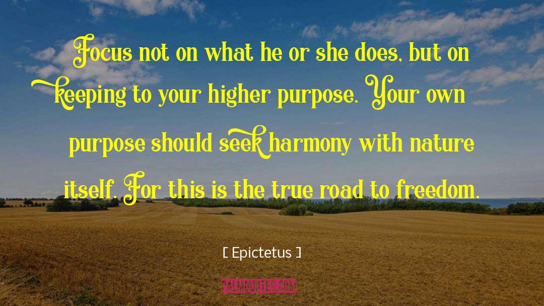Higher Purpose quotes by Epictetus
