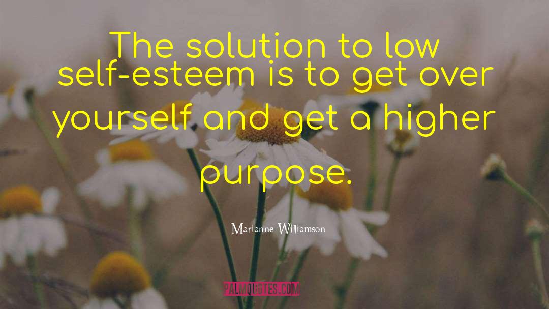Higher Purpose quotes by Marianne Williamson