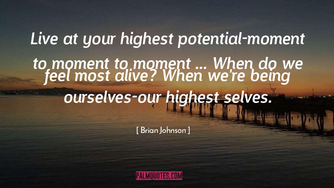 Highest Potential quotes by Brian Johnson