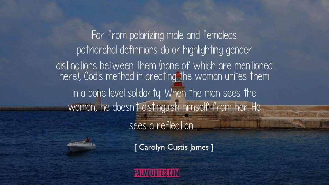 Highlighting quotes by Carolyn Custis James