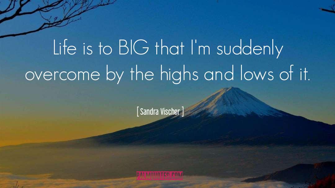 Highs And Lows quotes by Sandra Vischer