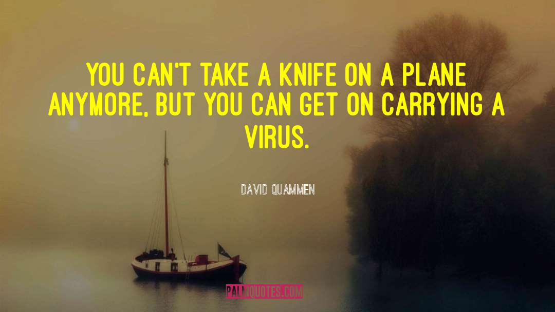 Hijacked Plane quotes by David Quammen