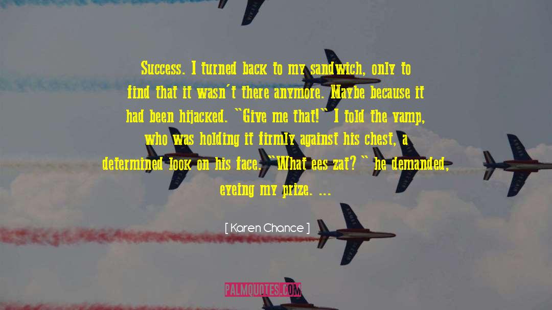 Hijacked quotes by Karen Chance