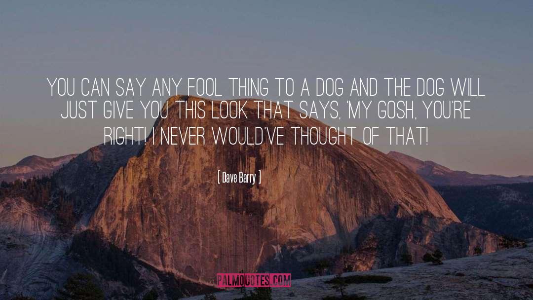 Hiking With Your Dog quotes by Dave Barry